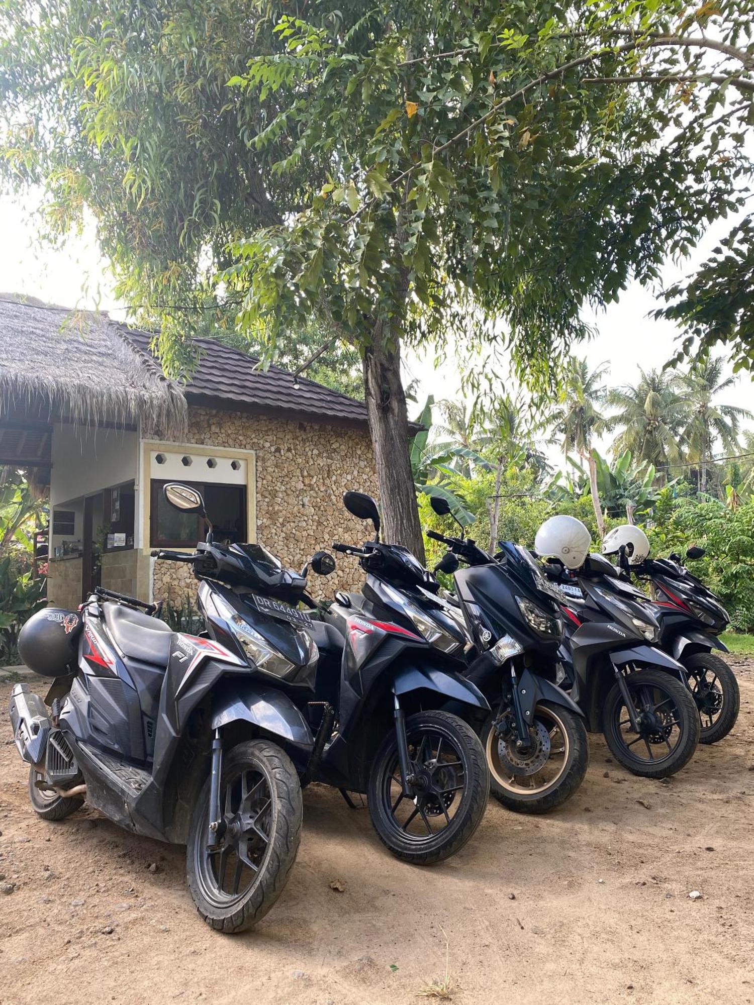 Cewin'S Homestay Kuta  Eksteriør bilde